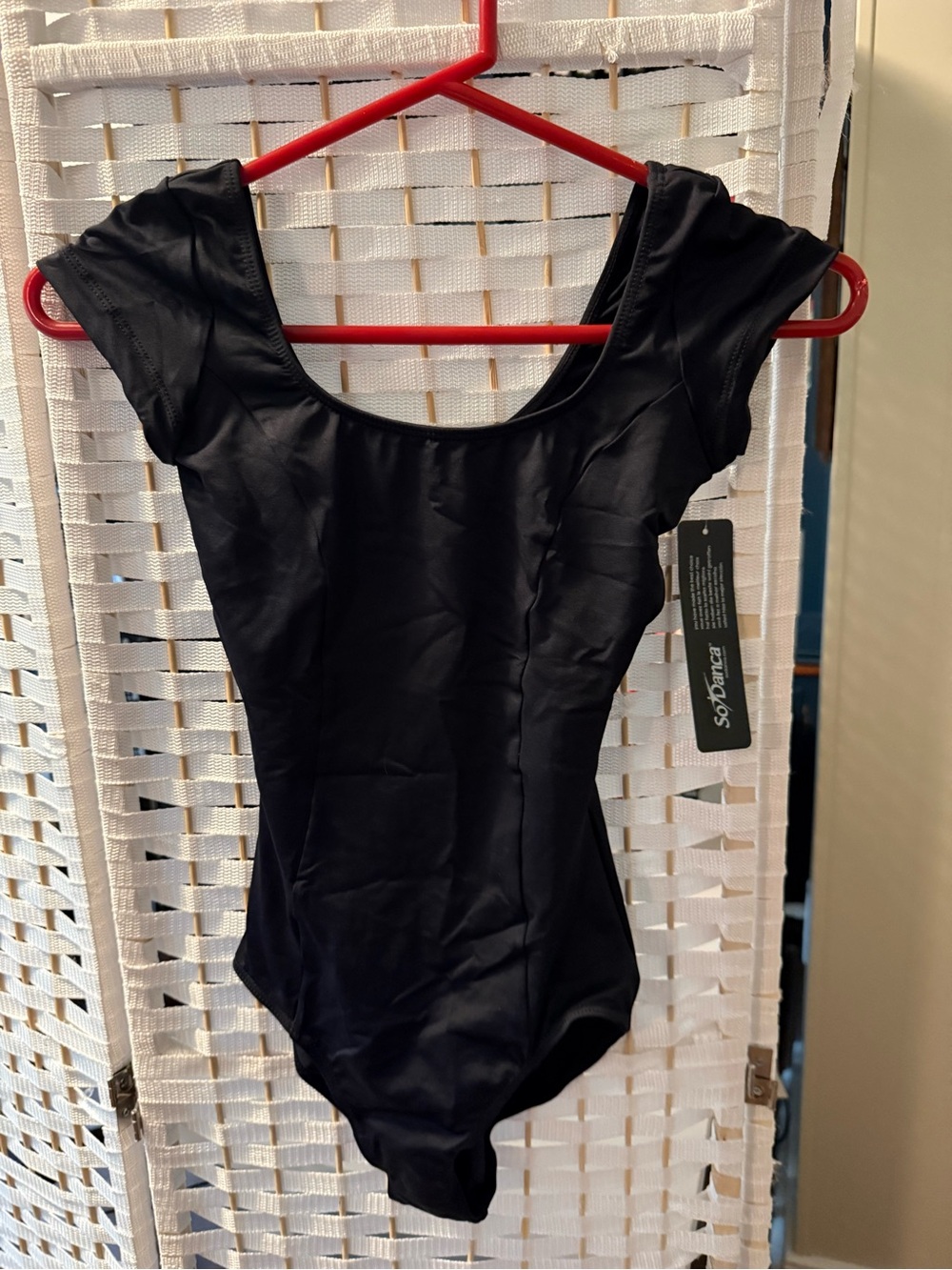 SoDance-BEATRICE - SL12
ADULT MICROFIBER CLASSIC CAP SLEEVE LEOTARD